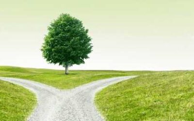 Medigap vs Medicare Advantage